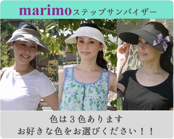 ステップサンバイザー Normal Version