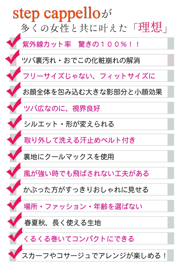 ステップサンバイザー Normal Version