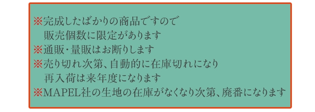 ステップサンバイザー Normal Version